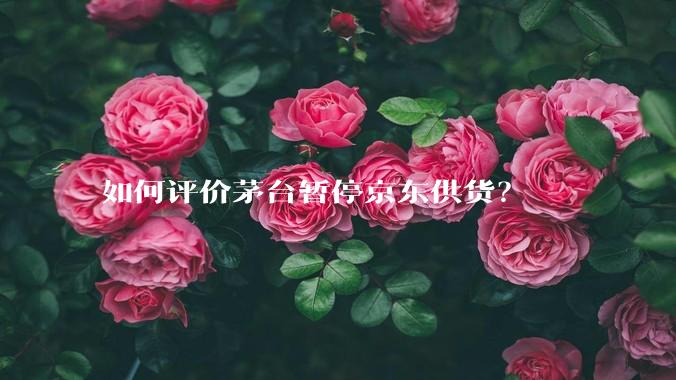 如何评价茅台暂停京东供货？