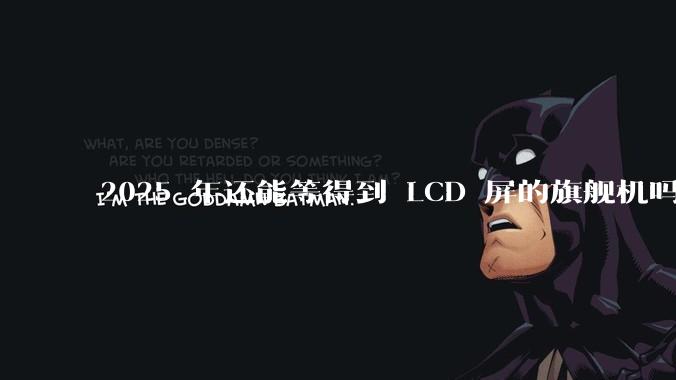 2025 年还能等得到 LCD 屏的旗舰机吗？
