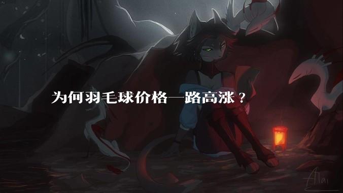 为何羽毛球价格一路高涨?