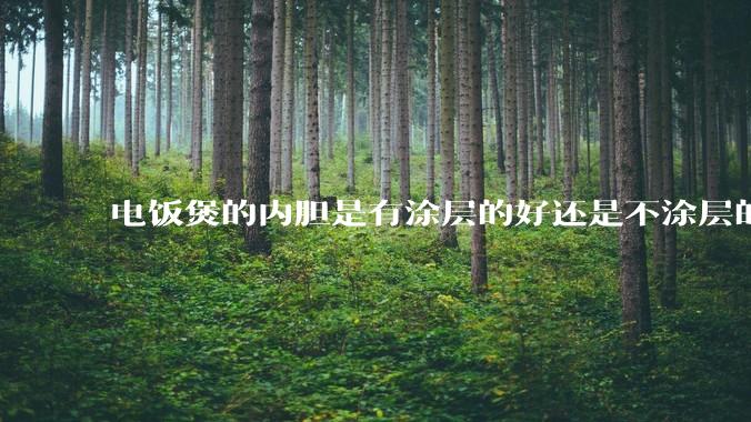 电饭煲的内胆是有涂层的好还是不涂层的好？纠结这买哪种?