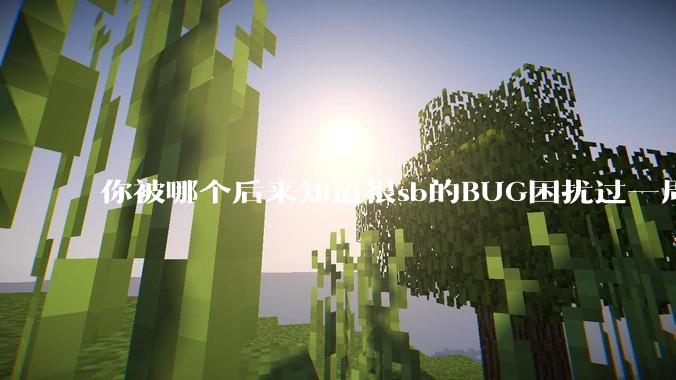 你被哪个后来知道很sb的BUG困扰过一周以上吗？