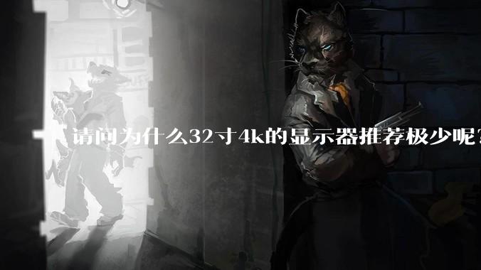 请问为什么32寸4k的显示器推荐极少呢？