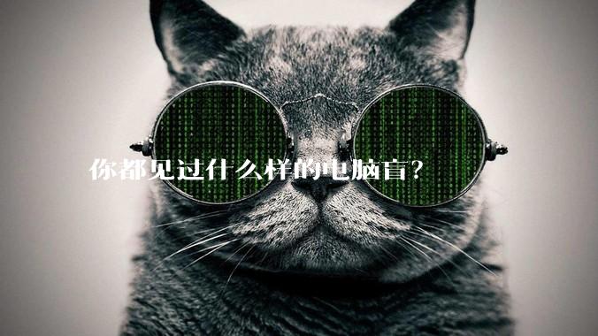 你都见过什么样的电脑盲？