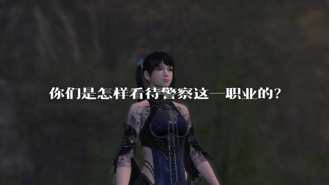 你们是怎样看待警察这一职业的？