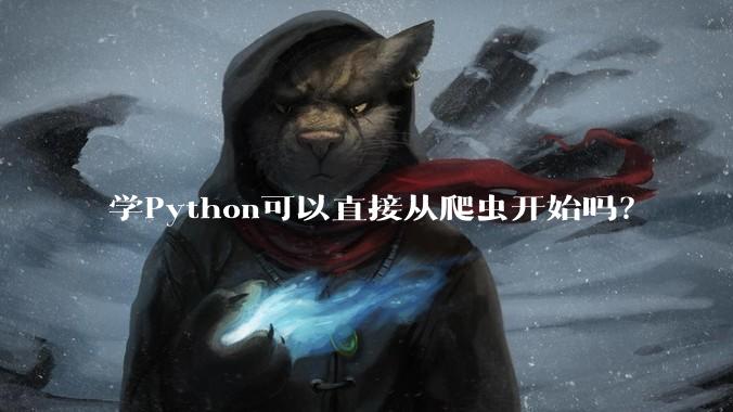 学Python可以直接从爬虫开始吗？