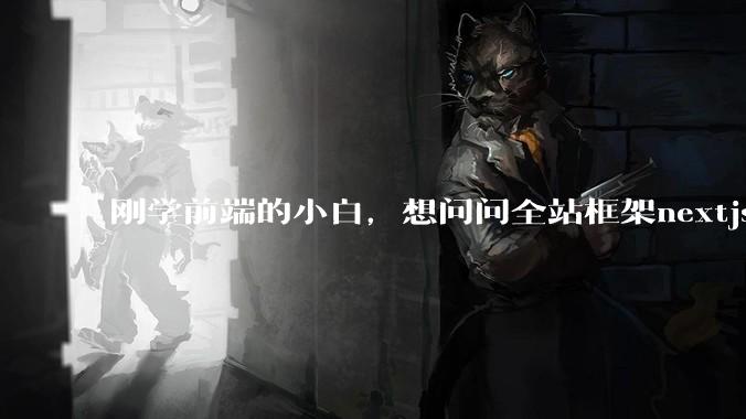 刚学前端的小白，想问问全站框架nextjs+shadcn+prisma为什么在国内不火呢？