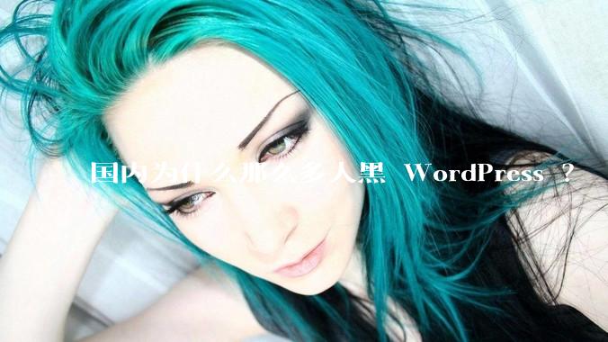 国内为什么那么多人黑 WordPress ？
