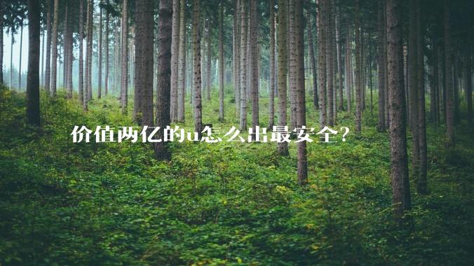 价值两亿的u怎么出最安全？