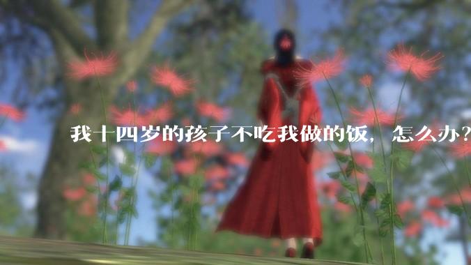 我十四岁的孩子不吃我做的饭，怎么办？