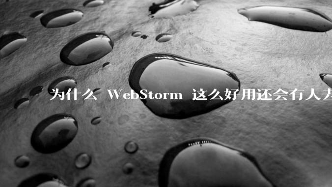 为什么 WebStorm 这么好用还会有人去用 VSCode？