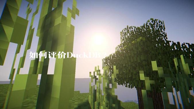 如何评价DuckDB?