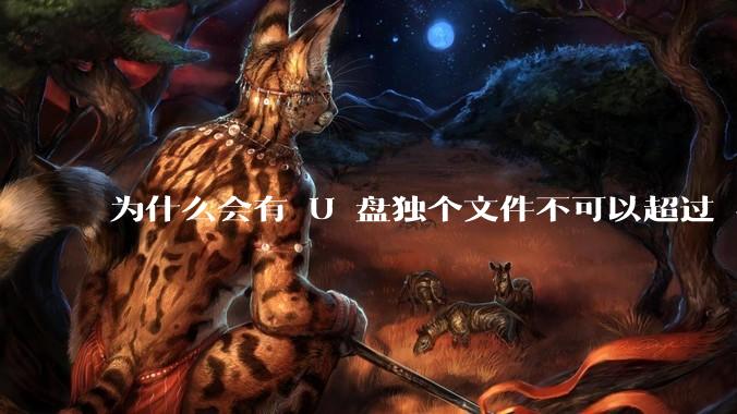为什么会有 U 盘独个文件不可以超过 4GB 这种设定？