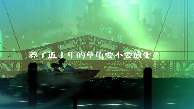 养了近十年的草龟要不要放生?