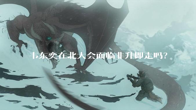 韦东奕在北大会面临非升即走吗？