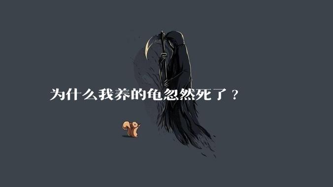 为什么我养的龟忽然死了?