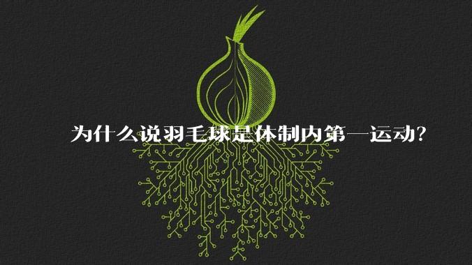 为什么说羽毛球是体制内第一运动？