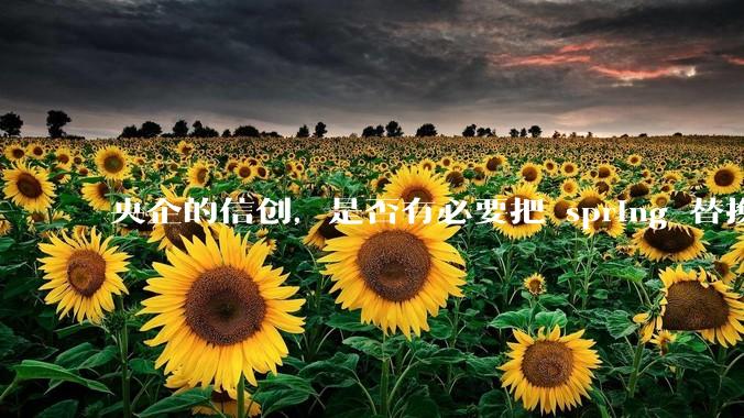 央企的信创，是否有必要把 spring 替换成国产的 solon ？