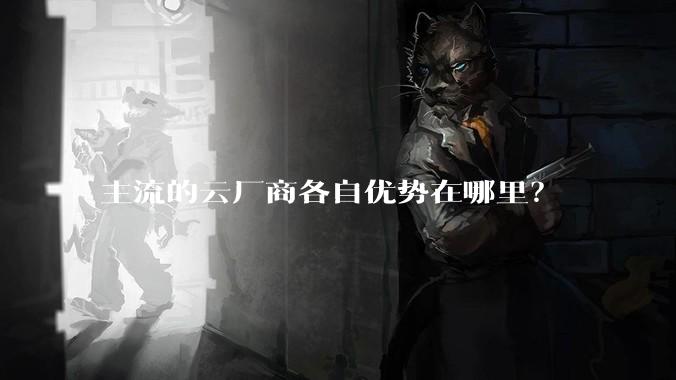 主流的云厂商各自优势在哪里？