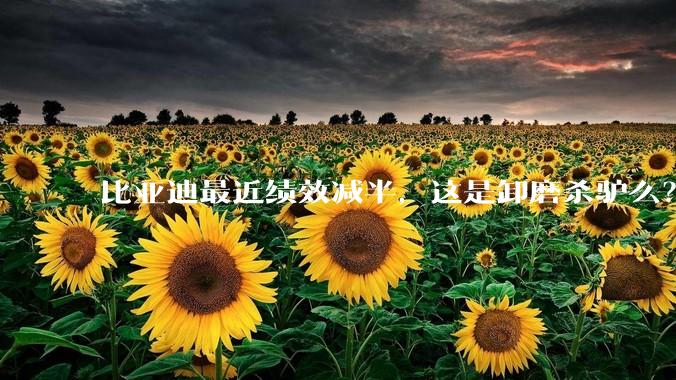比亚迪最近绩效减半，这是卸磨杀驴么？