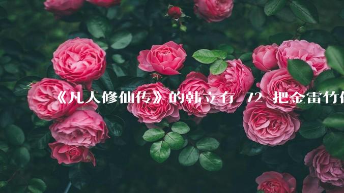 《凡人修仙传》的韩立有 72 把金雷竹做的剑，其他人看见了不觉得奇怪吗？