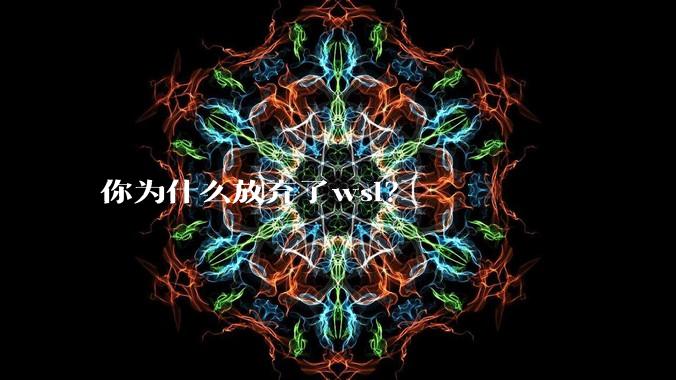 你为什么放弃了wsl？