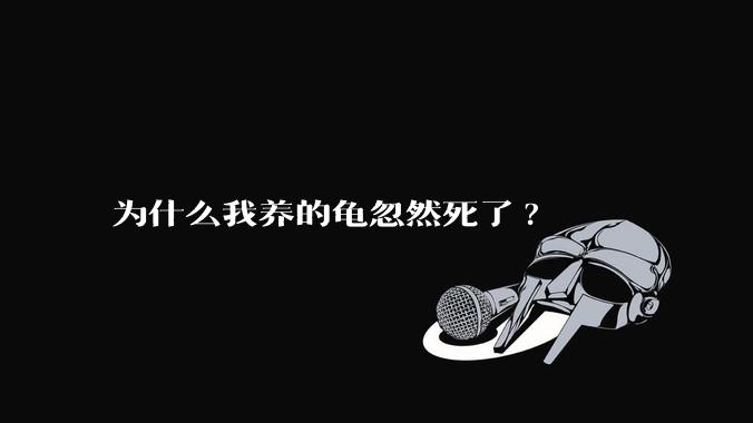 为什么我养的龟忽然死了?