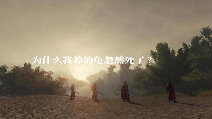 为什么我养的龟忽然死了?
