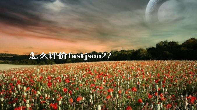 怎么评价fastjson2？