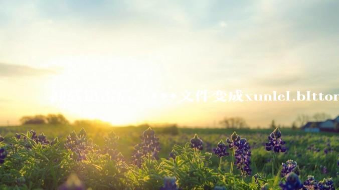 卸载迅雷后，***文件变成xunlei.bittorrent.6,怎么还原回去啊，心态炸了！?