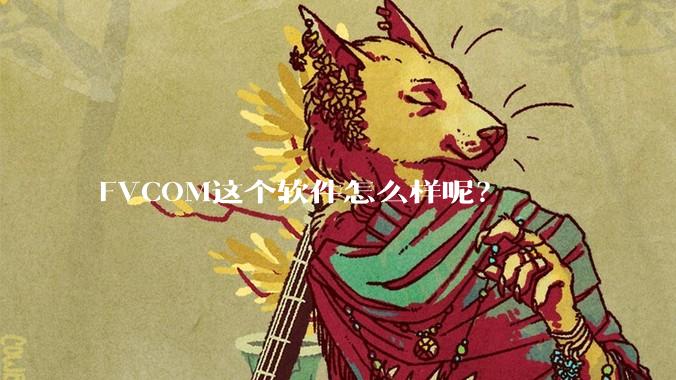 FVCOM这个软件怎么样呢？