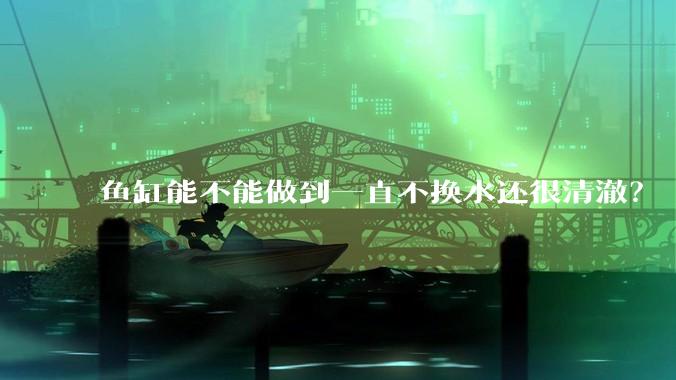 鱼缸能不能做到一直不换水还很清澈？