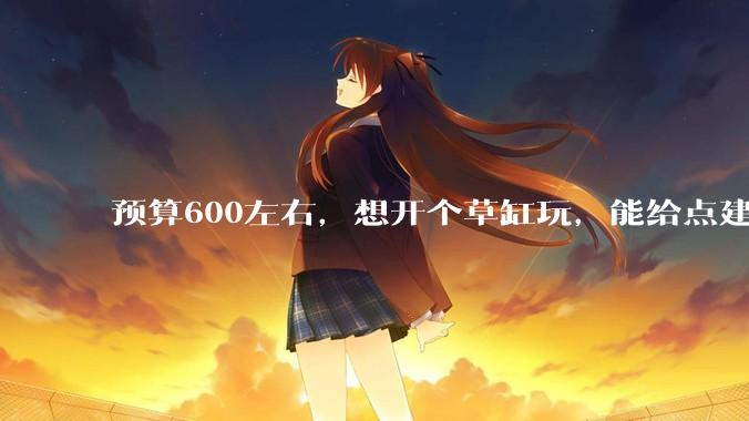 预算600左右，想开个草缸玩，能给点建议吗？
