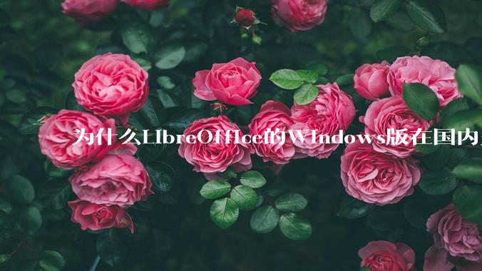 为什么LibreOffice的Windows版在国内火不起来？