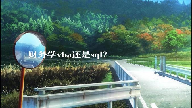 财务学vba还是sql？