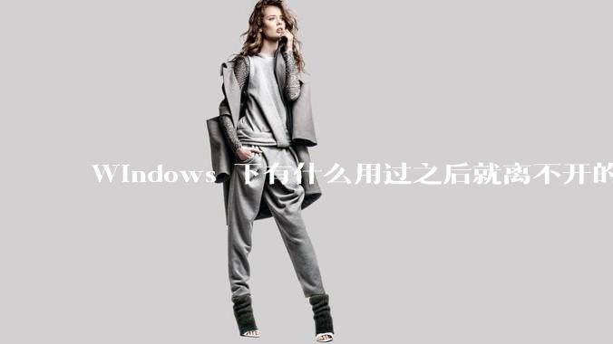 Windows 下有什么用过之后就离不开的冷门软件？