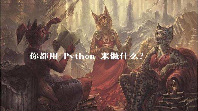 你都用 Python 来做什么？