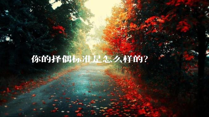 你的择偶标准是怎么样的？