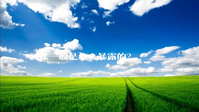 间谍一般是怎么暴露的？