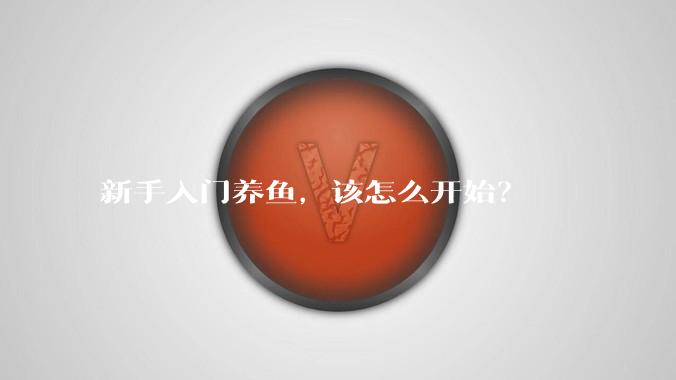 新手入门养鱼，该怎么开始？