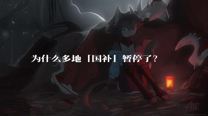 为什么多地「国补」暂停了？