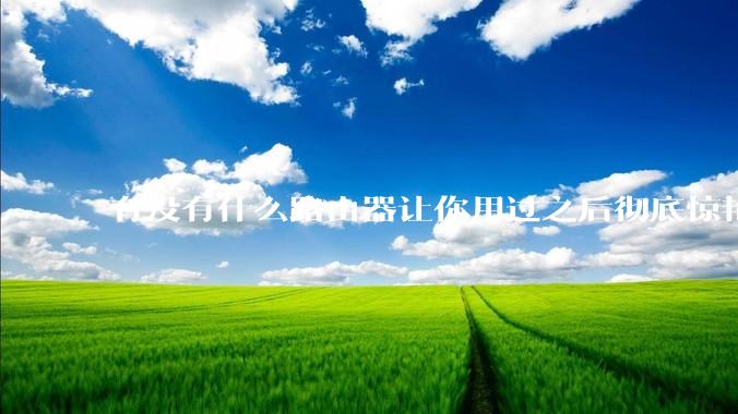 有没有什么路由器让你用过之后彻底惊艳了？