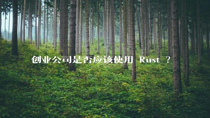 创业公司是否应该使用 Rust ？