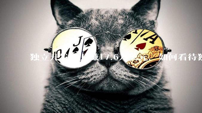 独立开发者月赚17.6万美元，如何看待独立开发者在 AI 浪潮中的发展前景？