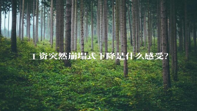 工资突然崩塌式下降是什么感受？