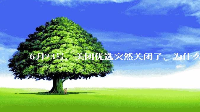 6月23号，美团优选突然关闭了，为什么?