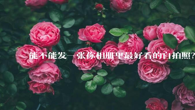 能不能发一张你相册里最好看的自拍照？