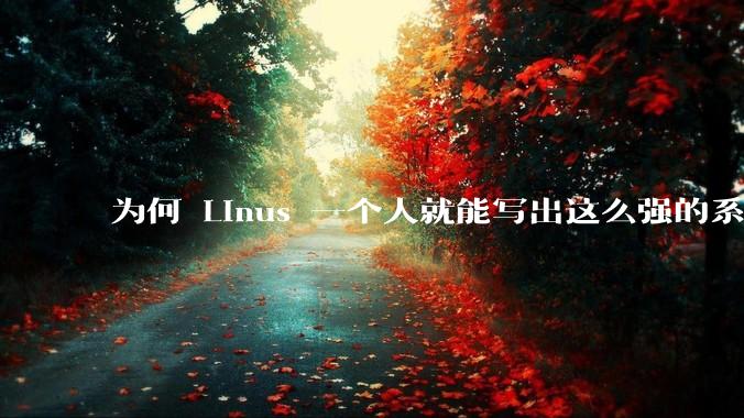 为何 Linus 一个人就能写出这么强的系统，中国却做不出来？
