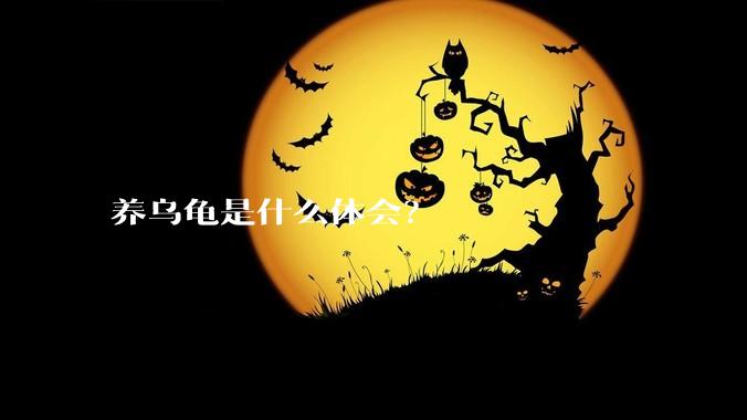 养乌龟是什么体会？