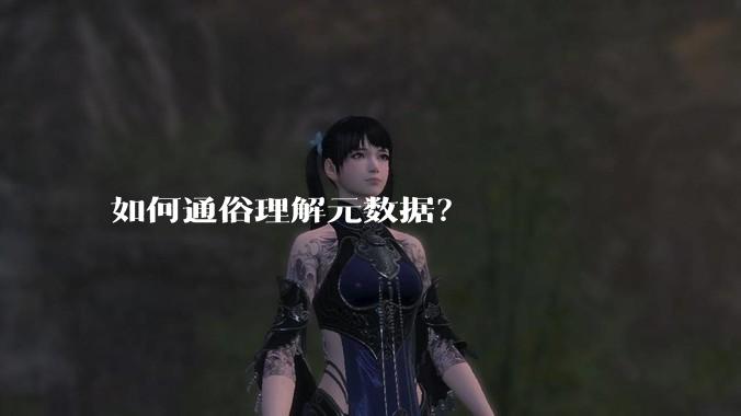 如何通俗理解元数据？