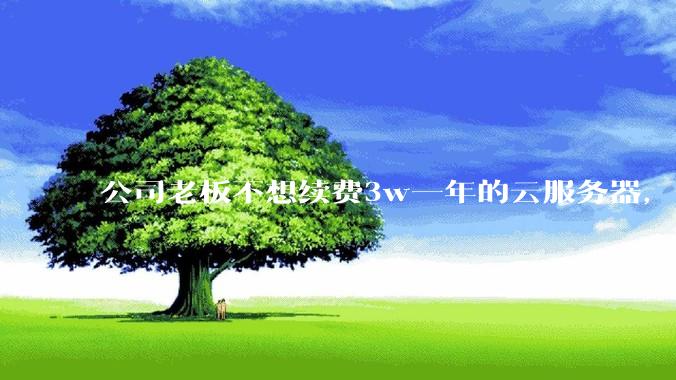 公司老板不想续费3w一年的云服务器，合理吗？
